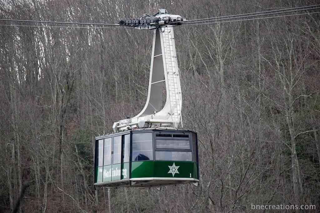 Villa Bear Necessities, Luxury 5Bd Mtn Views, Hot Tub, Many Bear Sightings Gatlinburg Esterno foto