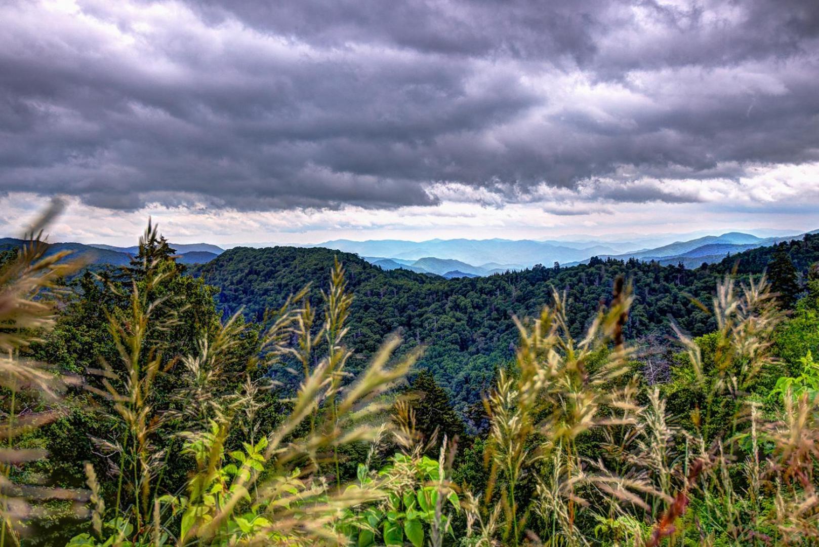 Villa Bear Necessities, Luxury 5Bd Mtn Views, Hot Tub, Many Bear Sightings Gatlinburg Esterno foto