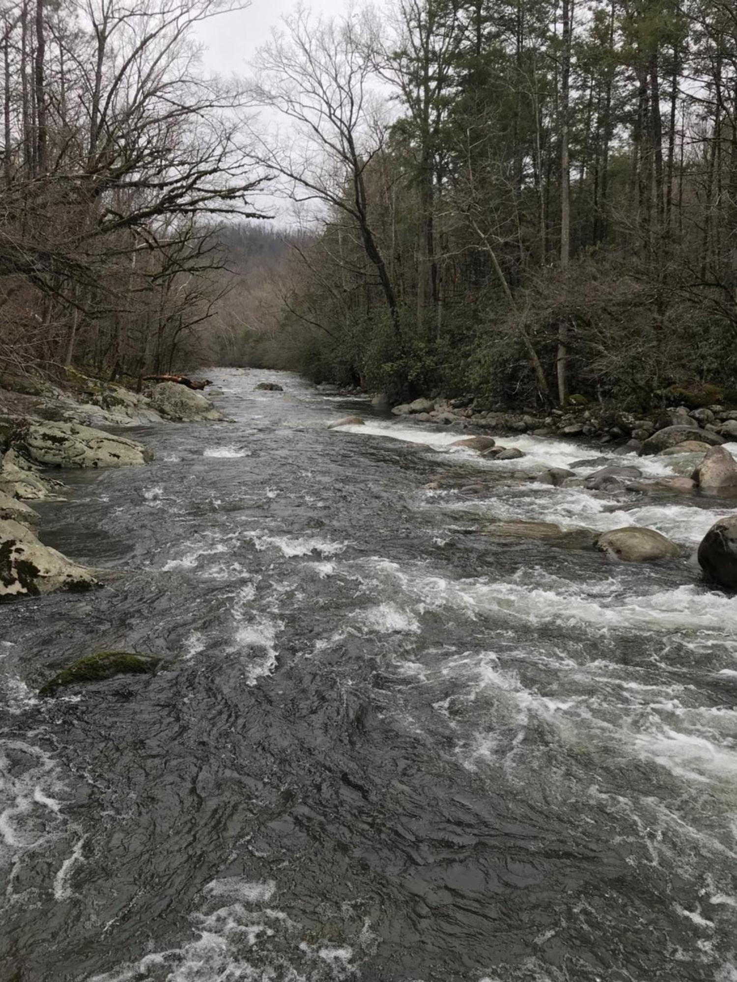 Villa Bear Necessities, Luxury 5Bd Mtn Views, Hot Tub, Many Bear Sightings Gatlinburg Esterno foto