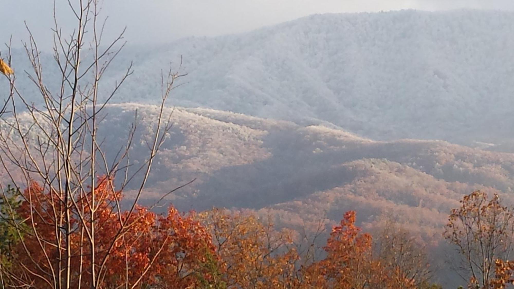 Villa Bear Necessities, Luxury 5Bd Mtn Views, Hot Tub, Many Bear Sightings Gatlinburg Esterno foto